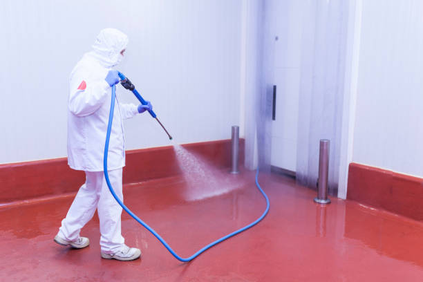 Best Boat and Dock Cleaning  in Gray, LA